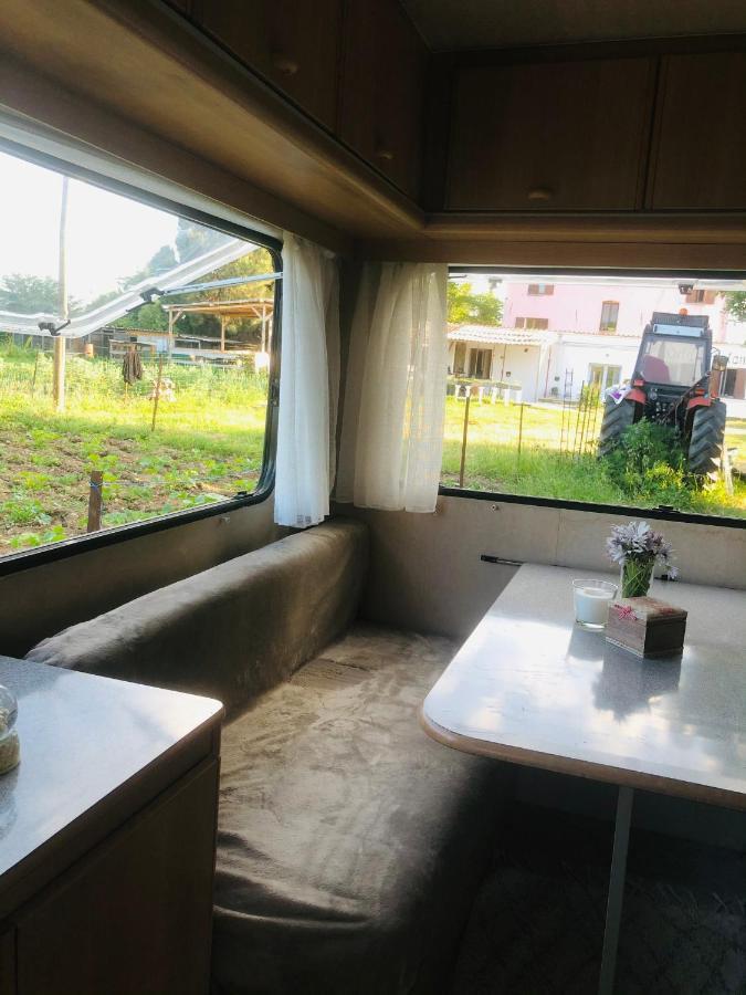 Hotel La Ferme de Rotani à Aléria Extérieur photo